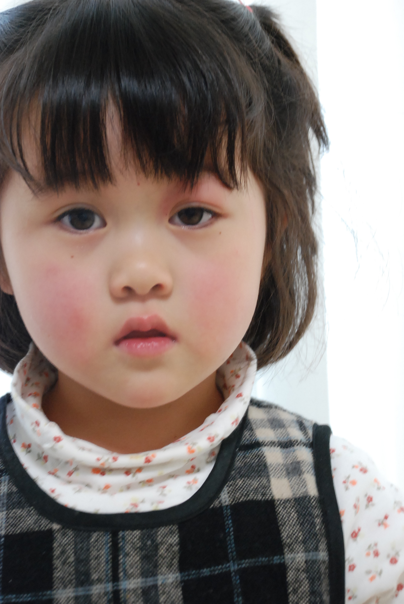 お岩さん すず ゆずと一緒