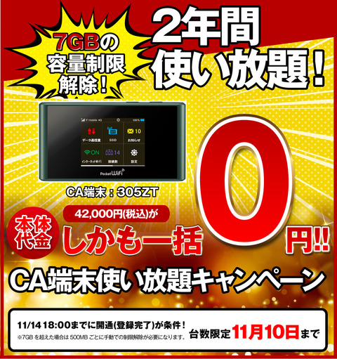 Pocket WiFi 305ZT 【一括0円！】