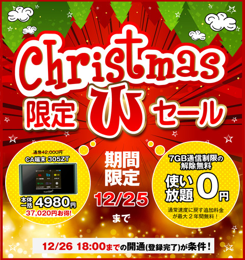 Pocket WiFi 305ZT 【一括0円!】