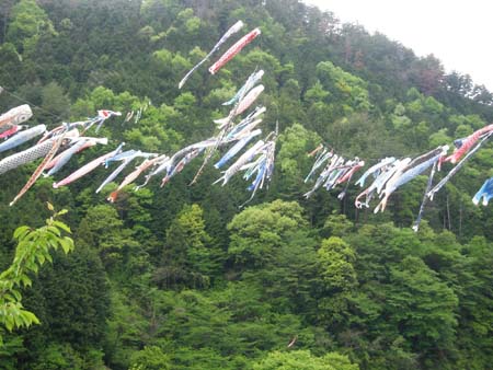 家紋 家紋検索 笠形山鯉のびり