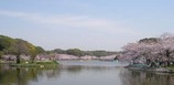 家紋 家紋検索