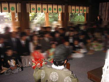 多田神社、徳川葵紋、竜胆紋 多田神社、徳川葵紋、竜胆紋