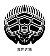 家紋 家紋検索 真向き亀紋
