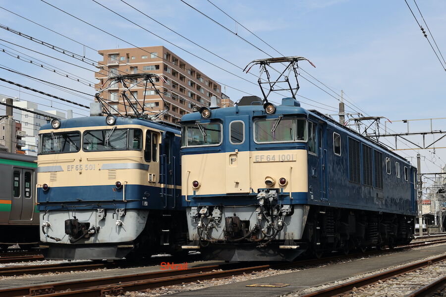 待ちに待ったEF64-1001&EF65-501撮影会!! : SN総合車両所のブログ