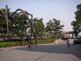 d649a244.jpg