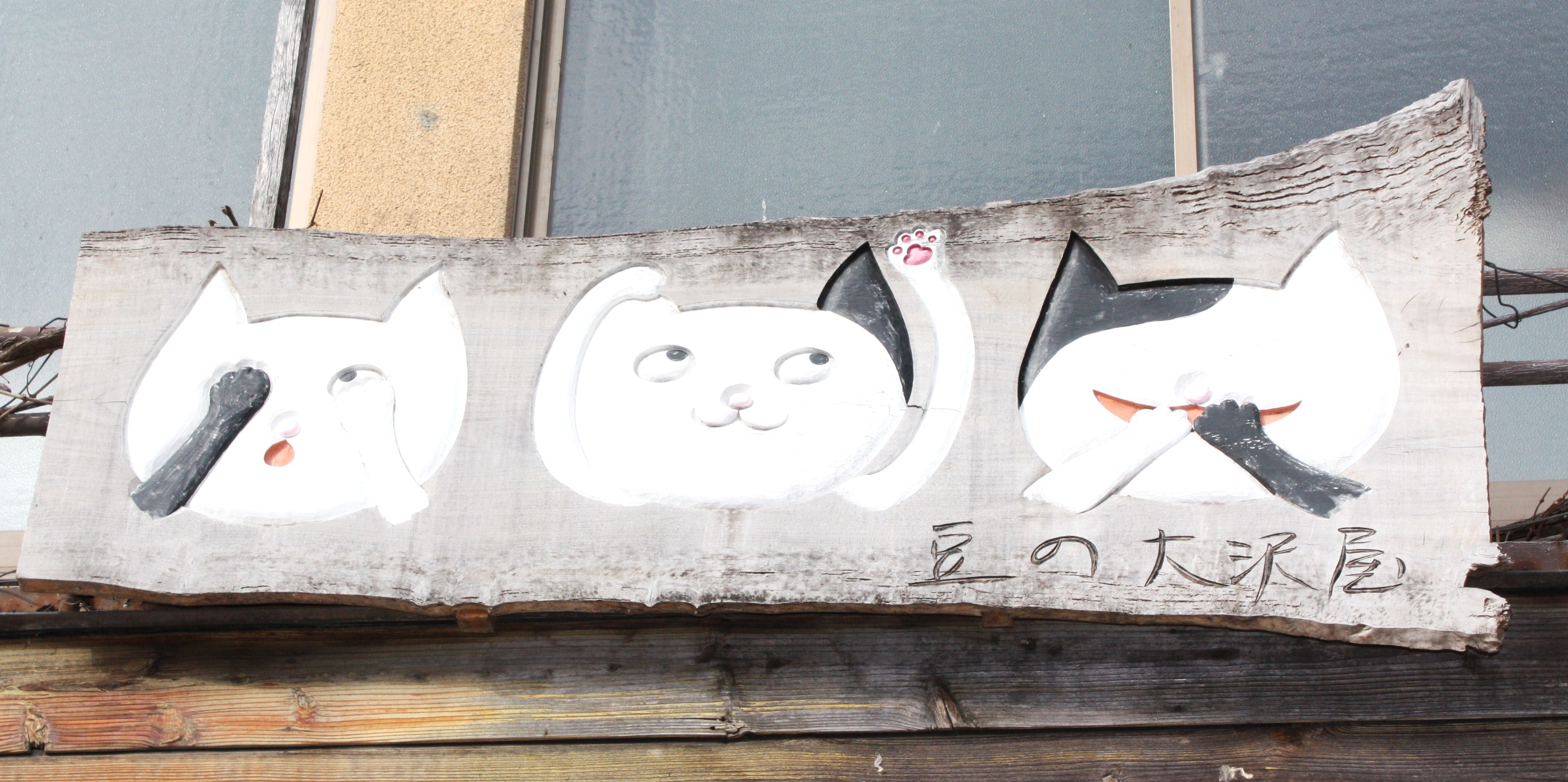 Cats u0026 Rocks : Youngu0027s Angle（ヤングおじさんの視点）