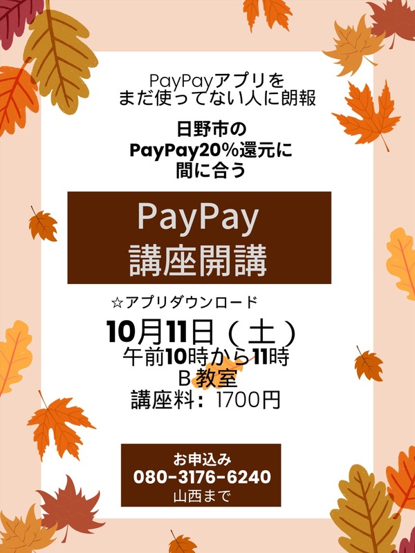 ペイペイちらし