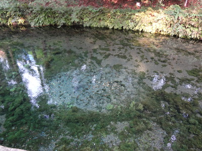 DSC06634