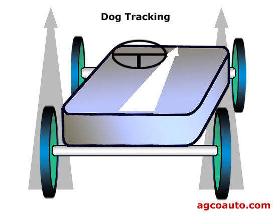 frame_dogtrack