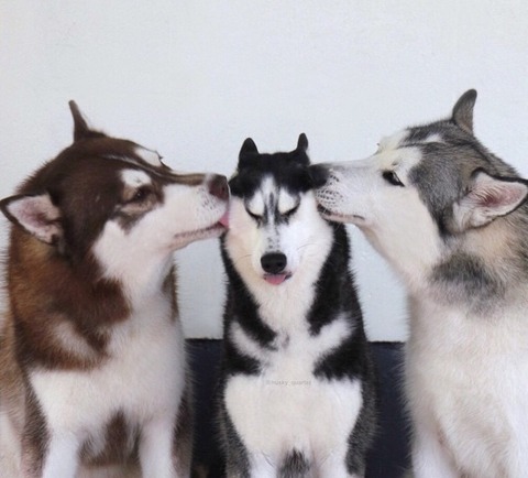 kkMGTkw