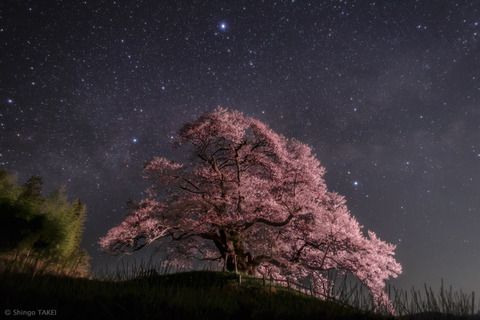 SummerTriangles_Takei_1000
