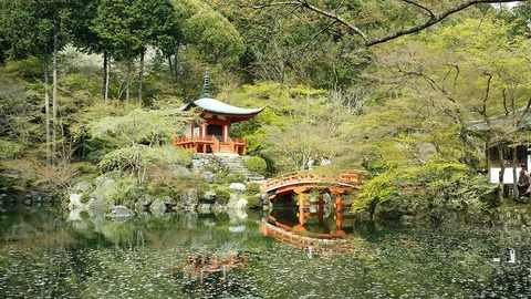 daigoji spring