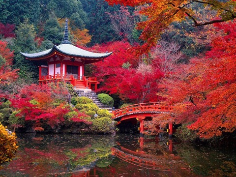 Kyoto-Pic-06