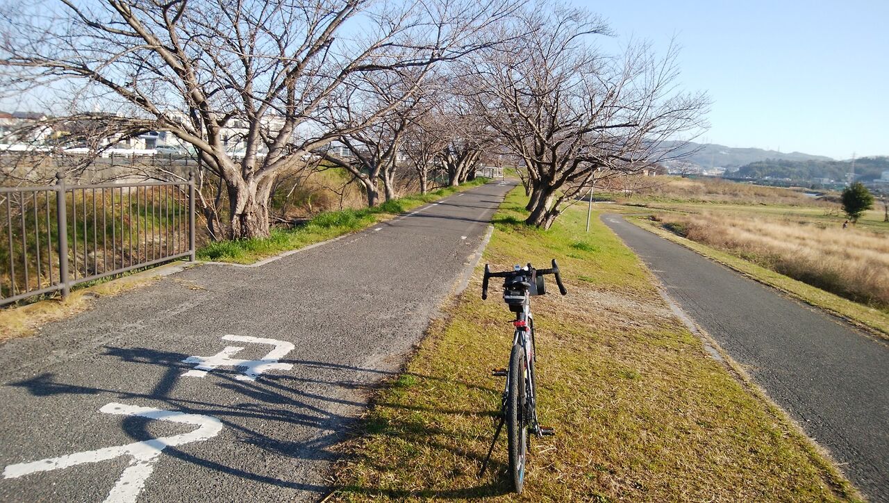長瀬川沿いライド すぬうじいの赤面絵日記２