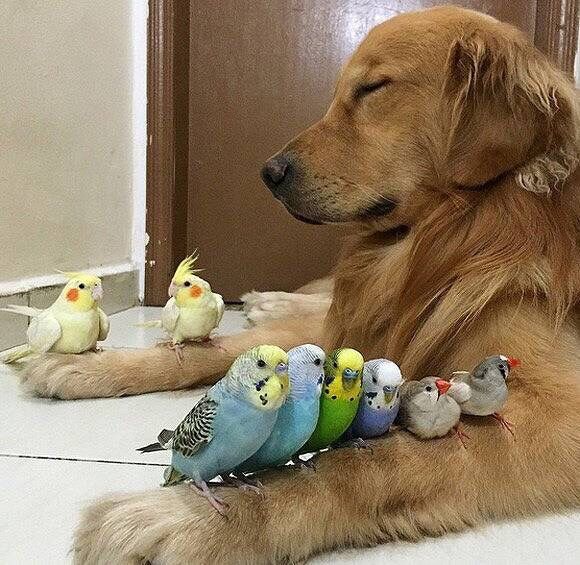 no title
