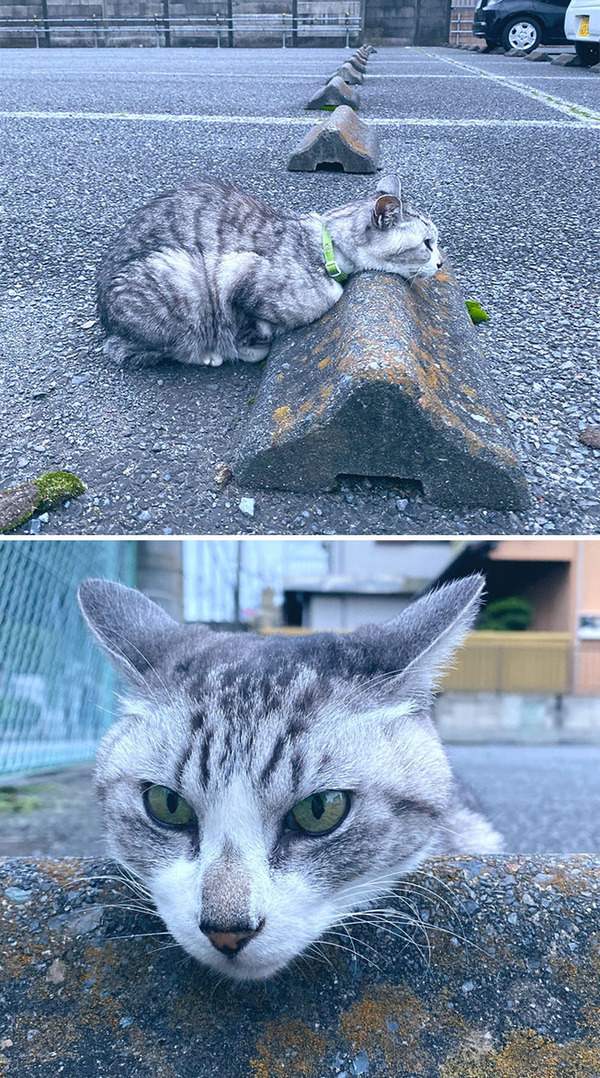 no title