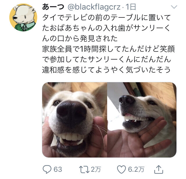 画像 イッヌ お婆ちゃんの入れ歯を装着してしまう 悲報 あにまるファミリア
