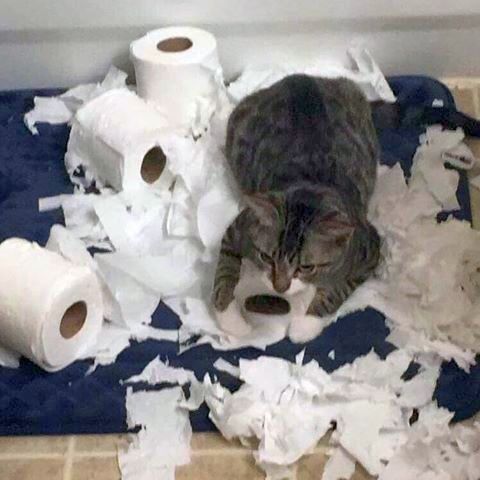 no title