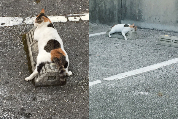 no title
