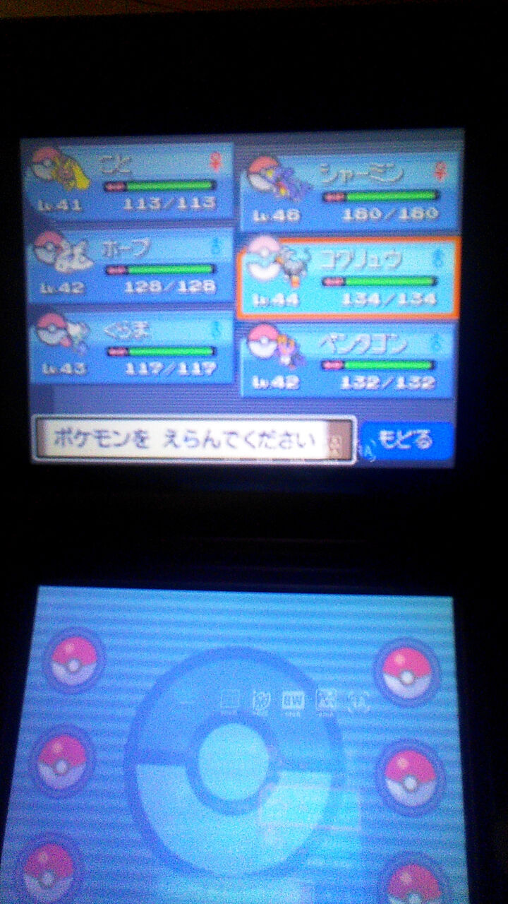 ポケモントレーナーワイ シロナに敗北 ダイパリメイクまとめch