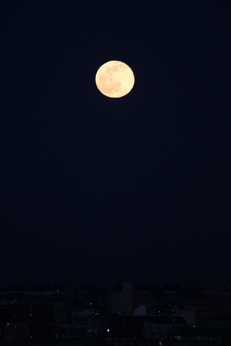 1 18 ウルフムーン スノ ブロ2 19 06 04 Re Start 1 18 ウルフムーン スノ ブロ2 19 06 04 Re Start