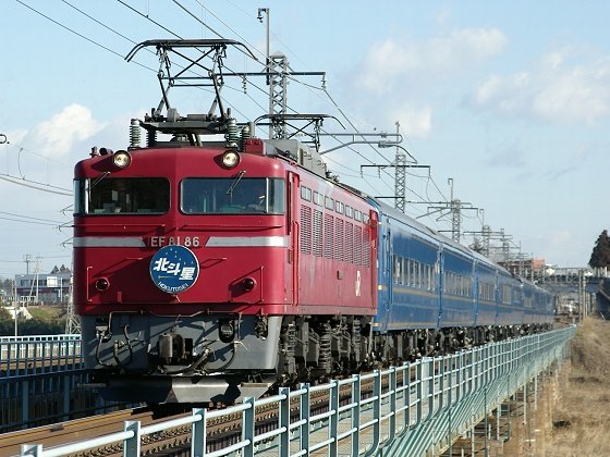 EF81 北斗星 JR EF81形電気機関車(北斗星色) ｜製品情報｜製品検索｜鉄道模型