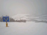 080301_1216~0001