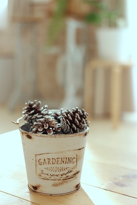 FullSizeRender