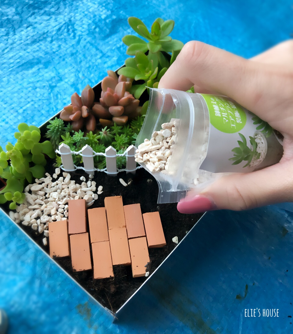 多肉ミニチュアガーデンを100均で手軽に サンタバージョン Elie S House Diy100均リメイカーエリィの暮らし レシピブログ Powered By ライブドアブログ