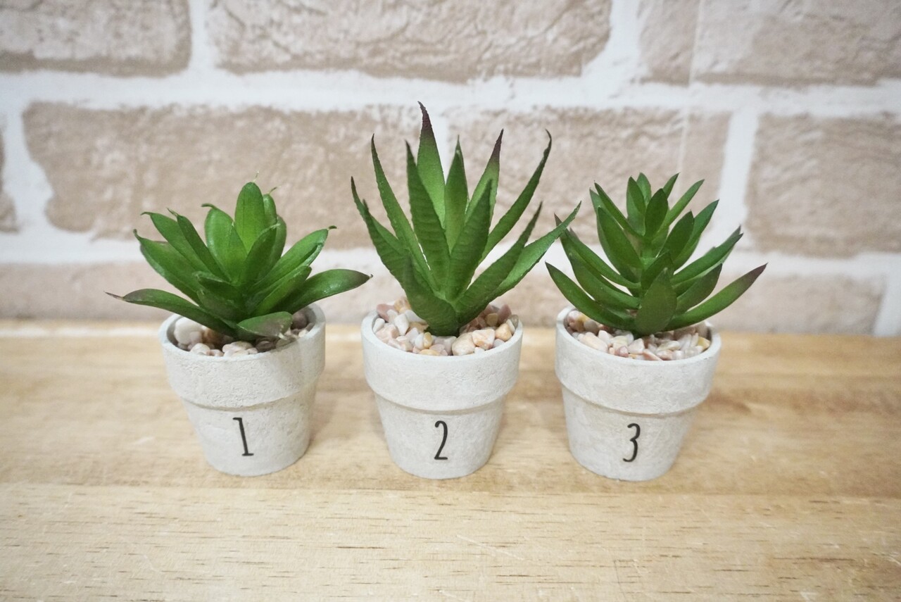 セリアのミニ多肉植物に貼るだけ ちょい足しアレンジ２パターン Elie S House Diy100均リメイカーエリィの暮らし レシピブログ Powered By ライブドアブログ