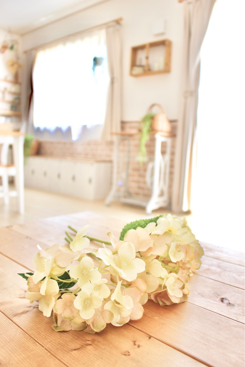 リアルドライに劣らぬダイソーフェイク Elie S House Diy100均リメイカーエリィの暮らし レシピブログ Powered By ライブドアブログ リアルドライに劣らぬダイソーフェイク Elie S House Diy100均リメイカーエリィの暮らし レシピブログ Powered By ライブドアブログ