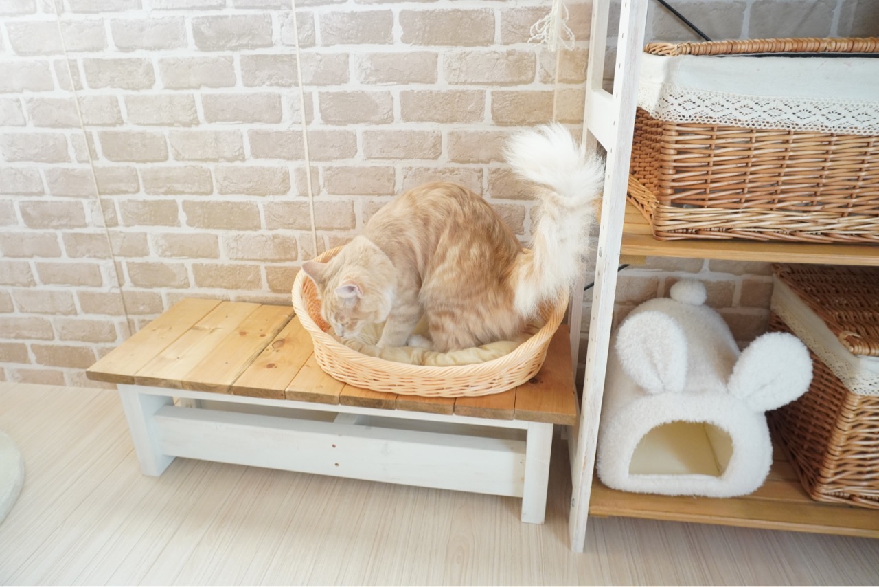 ダイソー ペット おしゃれな犬用ベッドがまさかの価格 猫にも Elie S House Diy100均リメイカーエリィの暮らし レシピブログ Powered By ライブドアブログ