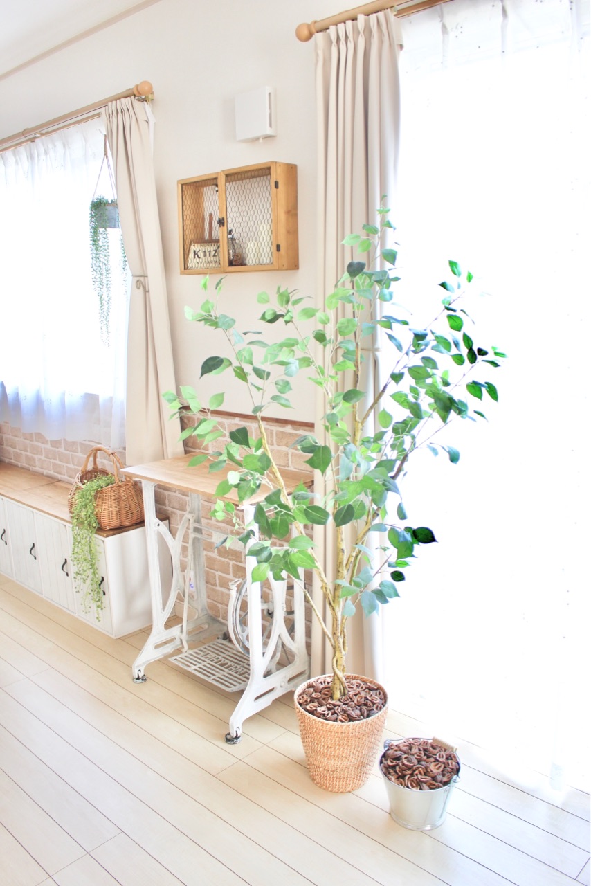 くるみの殻でニトリのフィカスを くるみの殻の炭 Elie S House Diy100均リメイカーエリィの暮らし レシピブログ Powered By ライブドアブログ くるみの殻でニトリのフィカスを くるみの殻の炭 Elie S House Diy100均リメイカーエリィの暮らし レシピブログ Powered By ライブドアブログ