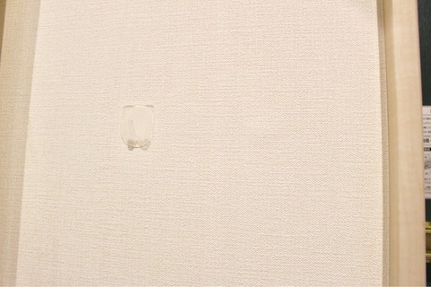 FullSizeRender