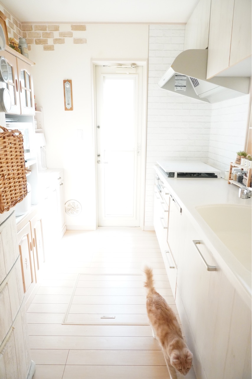キッチン 仮置きスペース 油跳ね予防できて猫も安心コンロカバー Elie S House Diy100均リメイカーエリィの暮らし レシピブログ Powered By ライブドアブログ キッチン 仮置きスペース 油跳ね予防できて猫も安心コンロカバー Elie S House Diy100均リメイカーエリィの暮らし レシピブログ Powered By ライブドアブログ