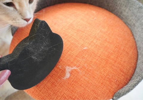 毛取りクリーナー キャンドゥ ペット ほこり 掃除グッズ