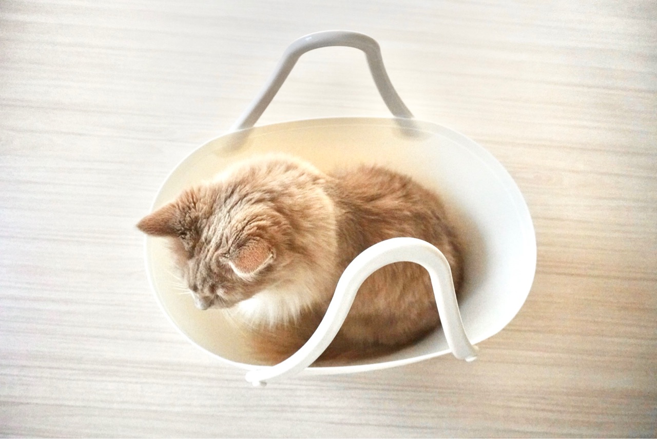 大人気のコルトナバッグがダイソーに Elie S House Diy100均リメイカーエリィの暮らし レシピブログ Powered By ライブドアブログ