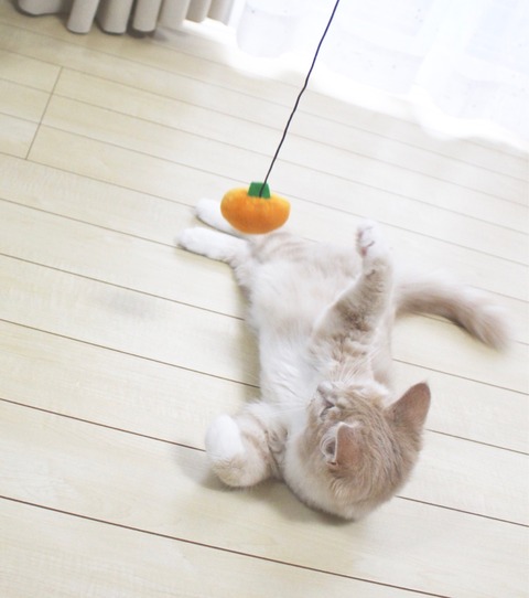 ひも付きおもちゃ セリア シェリル ハロウィン