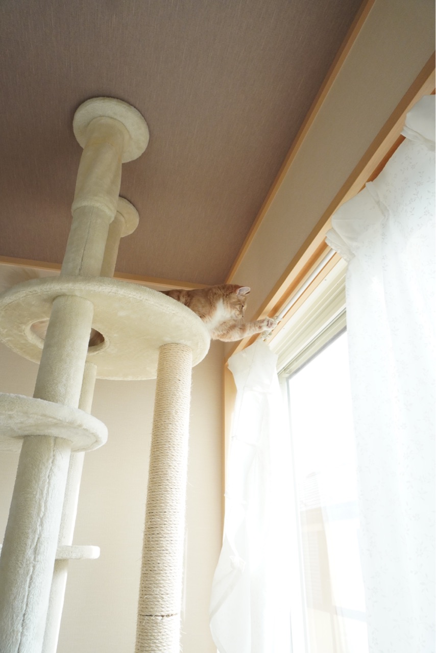 ニトリ 和室リメイク 突っ張り棒カーテンを ニトリのロールスクリーンに変えてみたら Elie S House Diy100均リメイカーエリィの暮らし レシピブログ Powered By ライブドアブログ ニトリ 和室リメイク 突っ張り棒カーテンを ニトリのロールスクリーンに変えてみたら Elie S House Diy100均リメイカーエリィの暮らし レシピブログ Powered By ライブドアブログ
