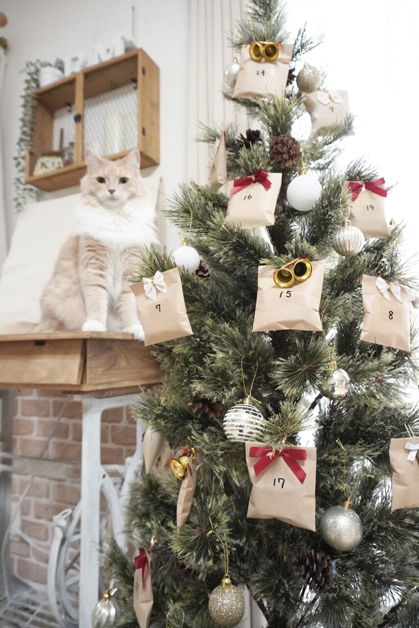 ニトリ＊可愛すぎて一目惚れしたクリスマスツリー＊ベルフォレ