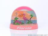 florida2.jpg