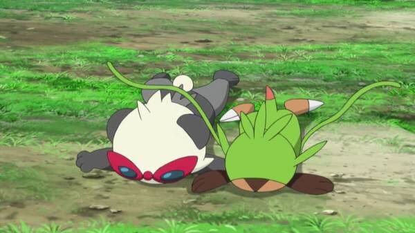 ケンカするほど仲が良い ハリマロンとヤンチャムのこれまでとこれから特集 時期外れの戯言