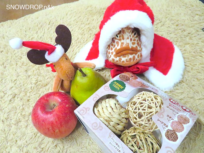 黒うさぎのクリスマス！ : SNOWDROP.n&kのサクサク日記