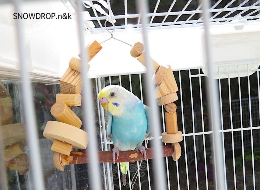 インコのおもちゃを手作りしてみよう Snowdrop N Kのサクサク日記 インコのおもちゃを手作りしてみよう Snowdrop N Kのサクサク日記