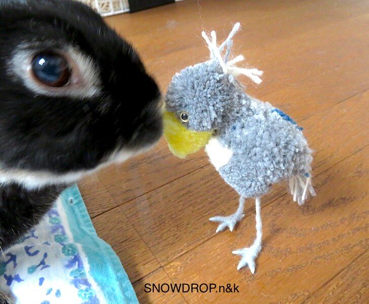 ハシビロコウのブローチ。 : SNOWDROP.n&kのサクサク日記