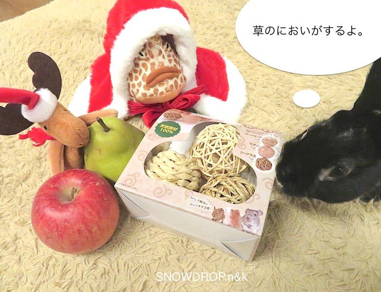 黒うさぎのクリスマス！ : SNOWDROP.n&kのサクサク日記