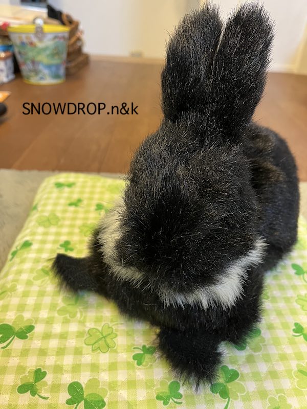 うさぎのぬいぐるみ 黒うさぎ、ぼうずくん! : SNOWDROP.n&kの うさぎのぬいぐるみ 黒うさぎ、ぼうずくん! : SNOWDROP.n&kの