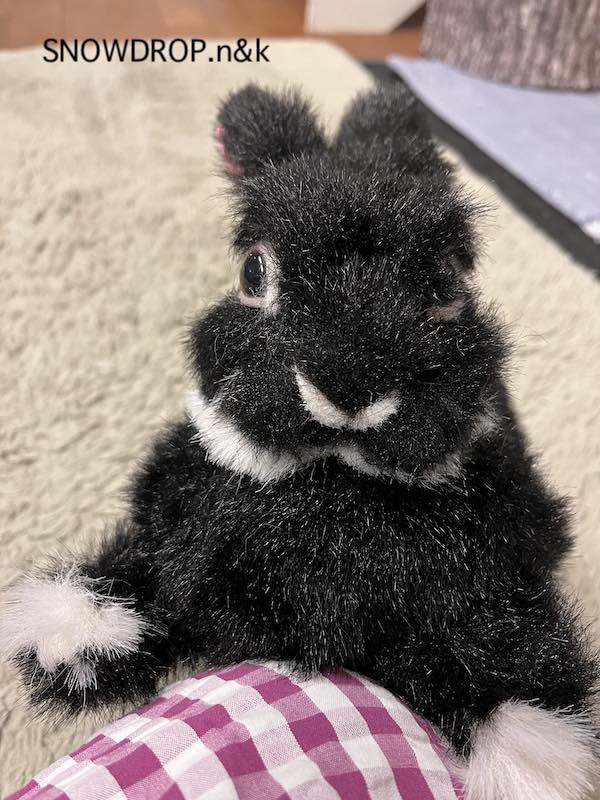 クリスマス☆盛り沢山♪黒うさぎちゃん e61a48ae1ed6ca75efa69186c5e51a