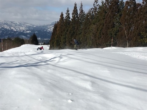 image1-1