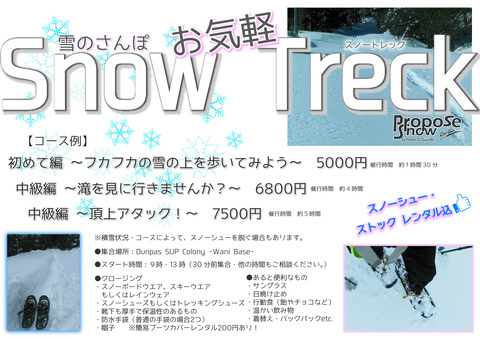Snow Treck POP